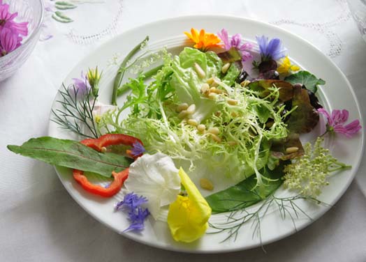 wildsalat, abnehmen, vegan, schlank, gesund, gesundes Essen